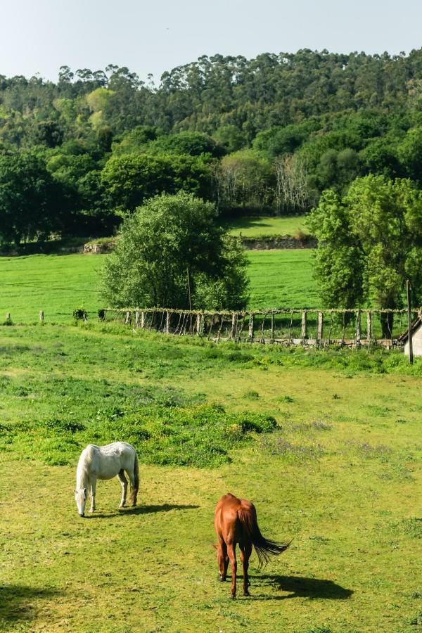 Quinta De Pindela - Natureza E Tradicao Villa Vila Nova de Famalicão Kültér fotó