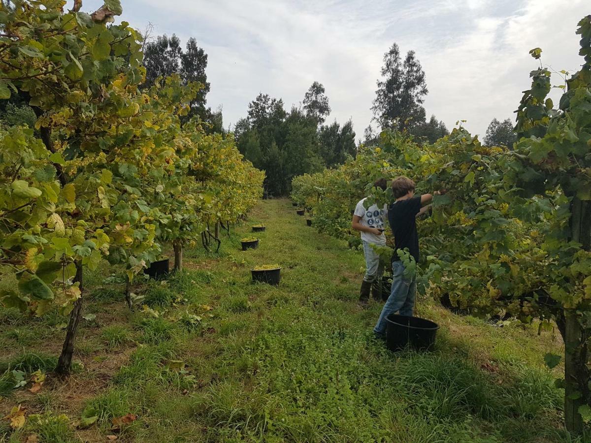 Quinta De Pindela - Natureza E Tradicao Villa Vila Nova de Famalicão Kültér fotó